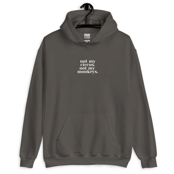 Circus-Free Zone Hoodie | Drama-Free Unisex Sweatshirt | Casual & Stylish Pullover for Everyday Wear